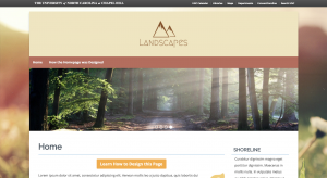 Landscapes - A site with a centered logo